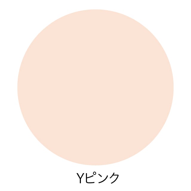 ���h 10�ʕt [220����] Y102 �s���N