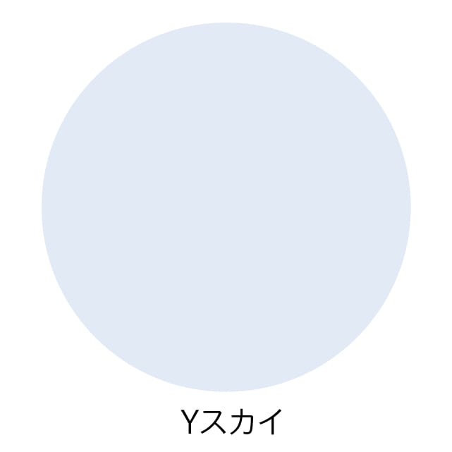 ���h 10�ʕt [220����] Y108 �X�J�C