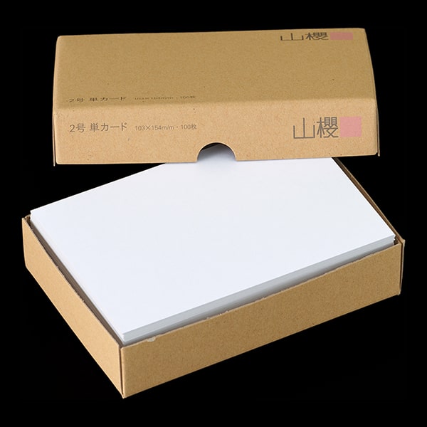 2�� �P�J�[�h DS�P���gCoC �����i�p�j ��