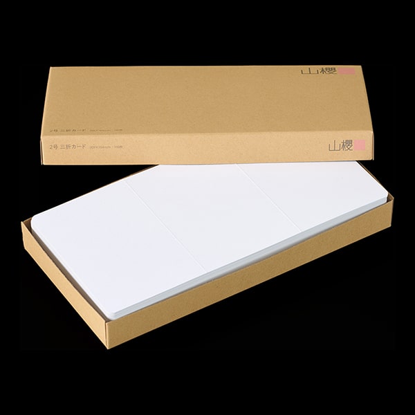 2�� �J�h�� �O�܃J�[�h D�P���gCoC ���� ��