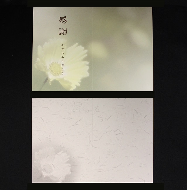 ���� 205×147mm ��܃J�[�h ��6201 �Ԉ��CoC ��