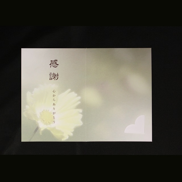 ���� 205×147mm ��܃J�[�h ��6251 �Ԉ��/�؍���CoC ��