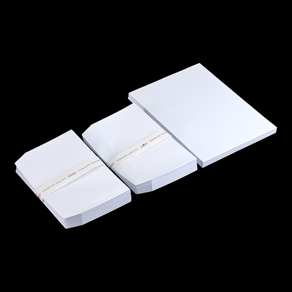 レターセット レゾン LS-Y3(ダンデレードCoC) ☆