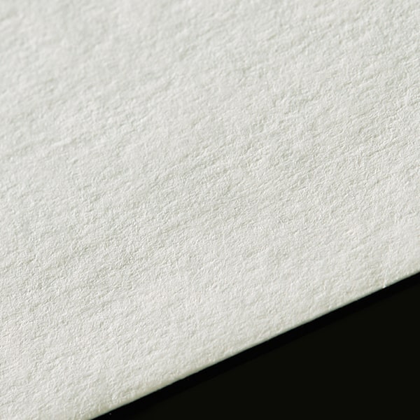 ���� �m2 �J�}�X�\FF �{�� �V���o�[ 100 ���g�i�V