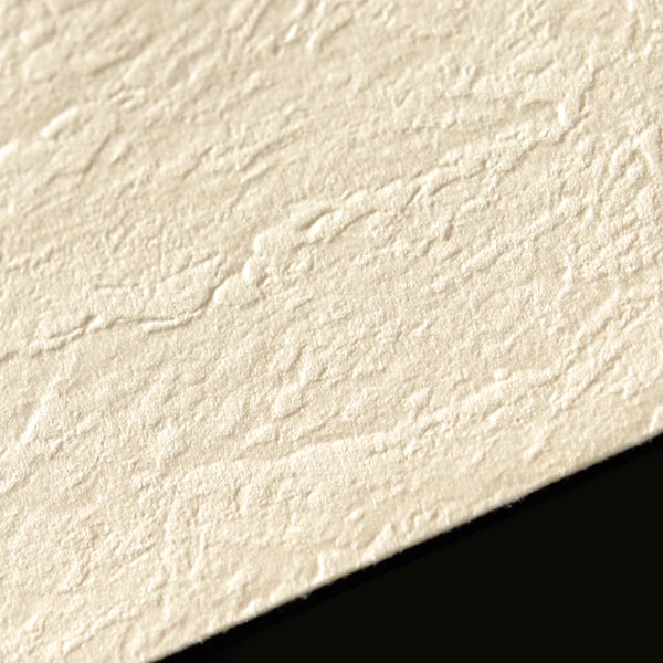 ���� �m2 �J�}�X�\FF ��͂�(R) ���� 115 ���g�i�V