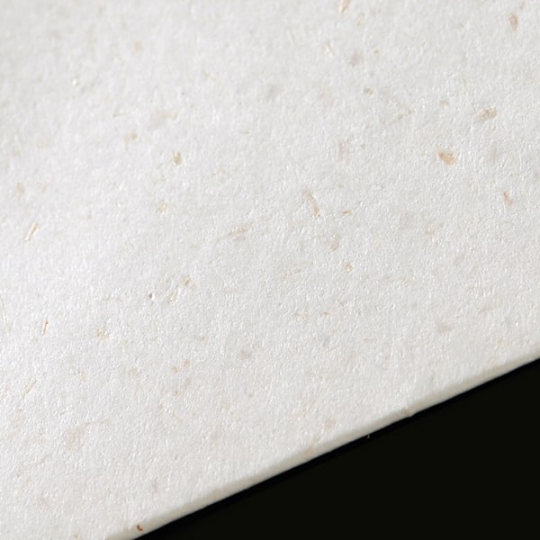 ���� �m2 �_�C���\ OPP (�o�i�i5��) CoC 100 ���g�i�V ��