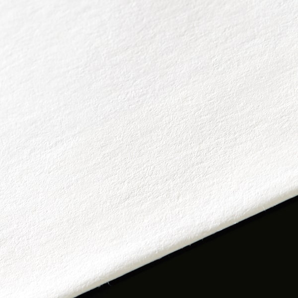 �m��3 �J�}�X�\ EC�z���C�gCoC 100 ���g�i�V �� �̕������