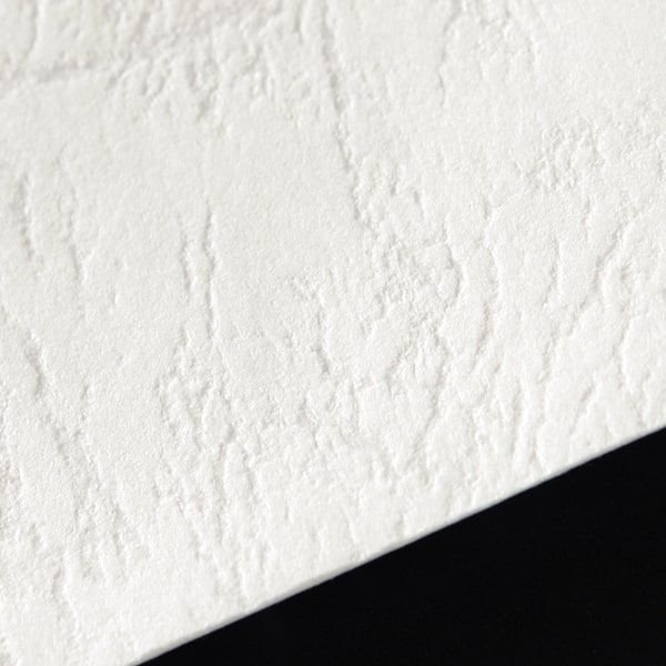 �m��3 �J�}�X�\ �R�[�v �z���C�g 100 ���g�i�V �̕������