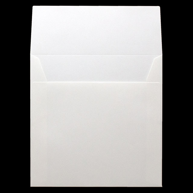 ���� �m�X�N�G�A �J�}�X�\ AR�E���g���z���C�gCoC 130 ���g�i�V ��