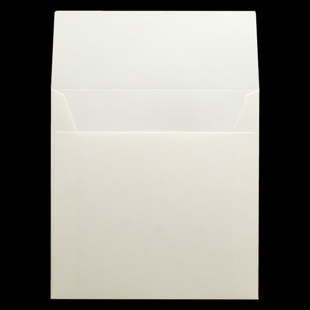 ���� �m�X�N�G�A �J�}�X�\ AR�z���C�gCoC 130 ���g�i�V ��