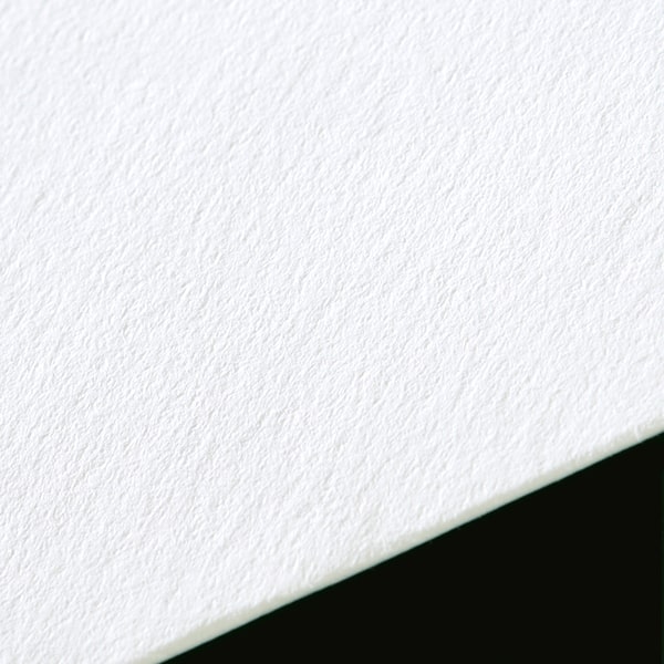 ���� �m2 �J�}�X�\ AR�E���g���z���C�gCoC 130 ���g�i�V ��