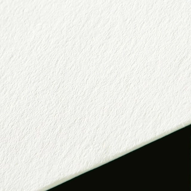 ���� �m2 �J�}�X�\ AR�z���C�gCoC 130 ���g�i�V ��