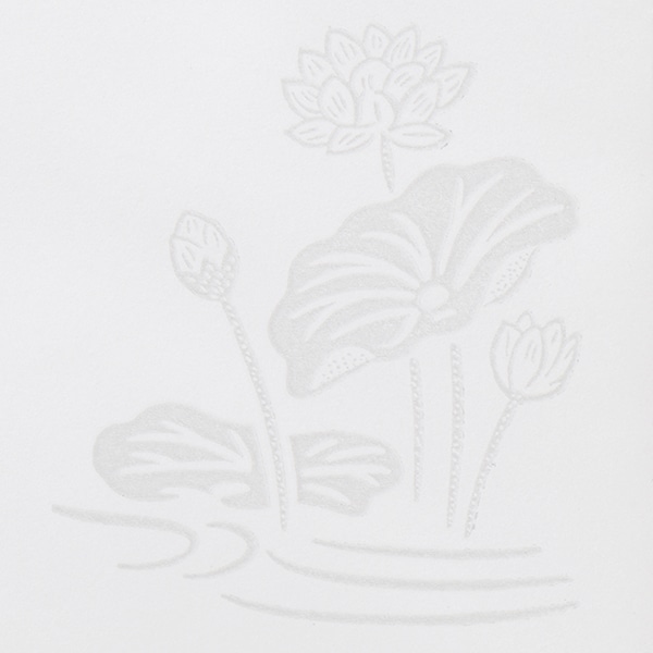 ���� �m2 �_�C���\ P�P���gCoC 120 �͂� ���g�i�V ��