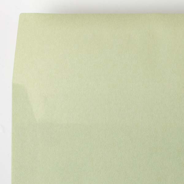 Web����m2 ���� ��������