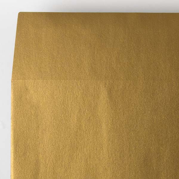 Web����m2 �����ذ�-FS ��è���ް���