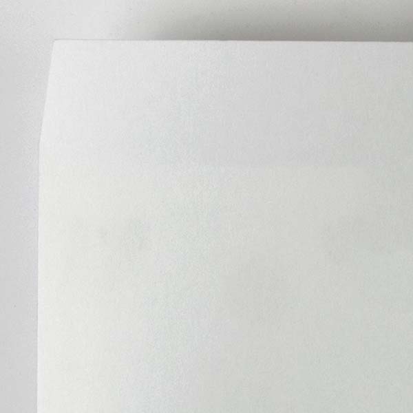 Web����m2 �V���̎q ��