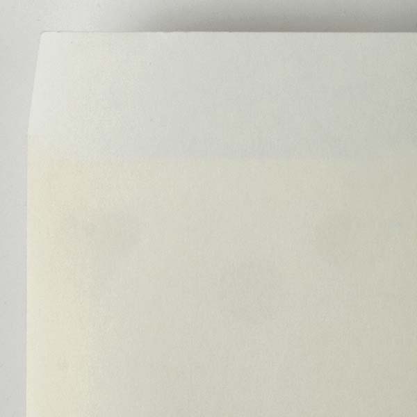 Web����m2 �V���̎q ��