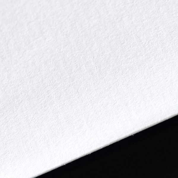 ��3 �X�~�\ �_���f���[�hCoC 100 ���g�i�V �� �̕������