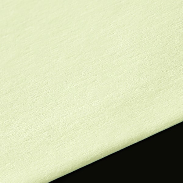 ���� ��4 �X�~�\ EC�E�O�C�X 80 ���g��