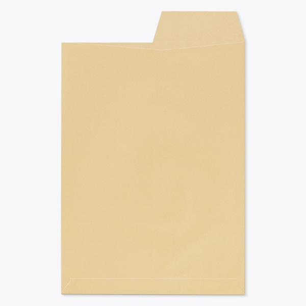 ���� �p2 ���\ �N���t�gCoC 85 �J��(�E1/2) ���g�i�V ��