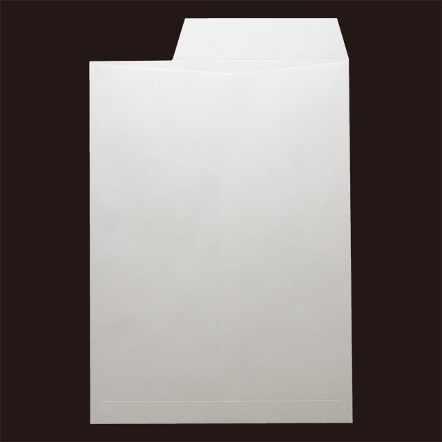 ���� �p2 ���\ �z���C�g R40 CoC 100 �J��(�E1/3) ���g�i�V ��