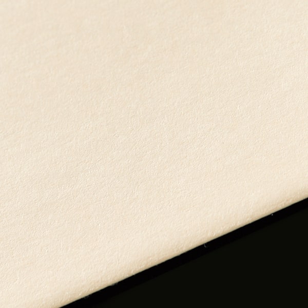 ���� �p2 ���\ EC�x�[�W�� 100 ���g�i�V