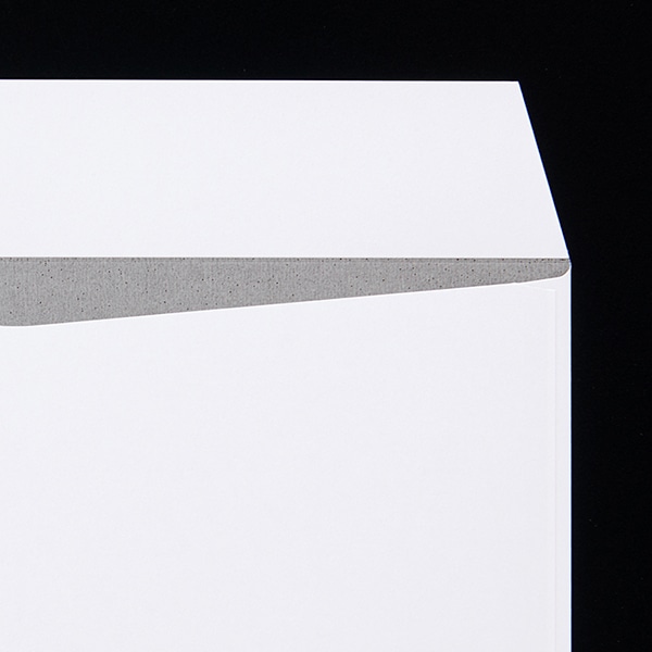 ���� �p2 �X�~�\ �|�z���C�gCoC �n��� 100 ���g�i�V ��