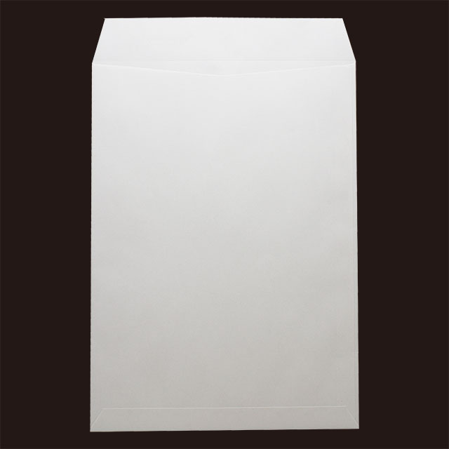 ���� �p2 �X�~�\ �z���C�g R40 CoC 100 ���g�i�V ��