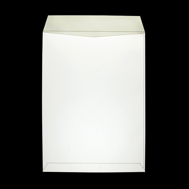 ���� �p2 �X�~�\ �~�G�i�C�o�K�X��CoC 100 ���g�i�V  ��