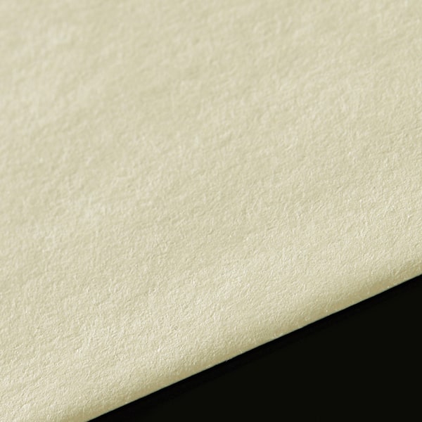 ���� �p3 ���\ K�V���o�[CoC 100 ���g�i�V