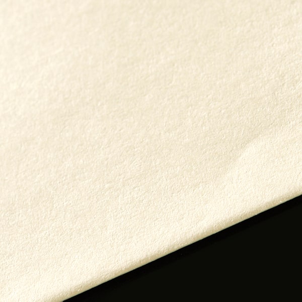 ���� ��3 ���\ SK�N���[�� 85 ���g��