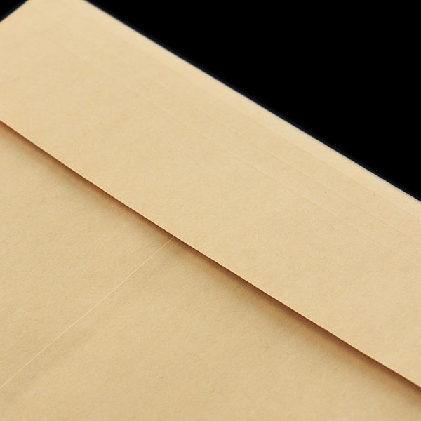 封筒 角2 保存袋 クラフトCoC 120 T 紐ナシ 〒枠ナシ ☆