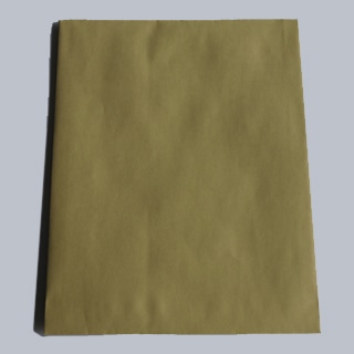 封筒 角2 保存袋 OKクラフト 120 〒枠ナシ