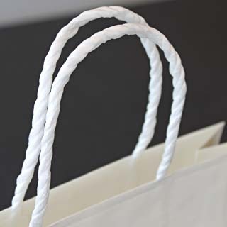 �V���b�s���O�o�b�O SBW(��)