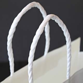 �V���b�s���O�o�b�O SBW(��)