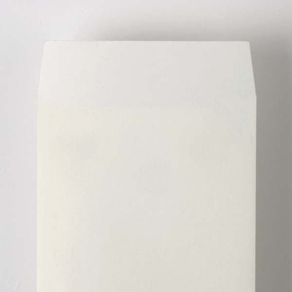 Web���蒷3 �V���̎q ��