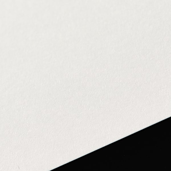 名刺 4号 L041 金線