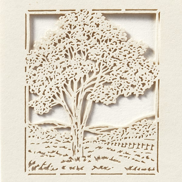 ���h 4�� [50����] �؂�G A9 ���