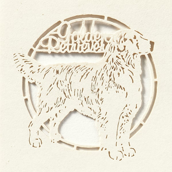 ���h 4�� [50����] �؂�G D4 �C�k