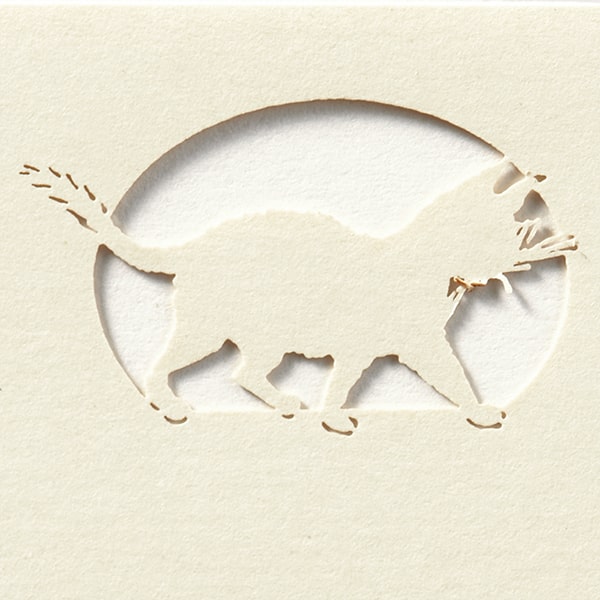 ���h 4�� [50����] �؂�G D5 �l�R