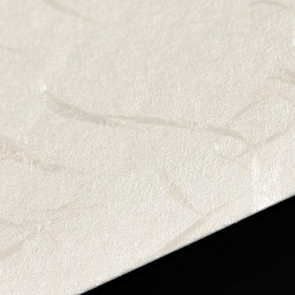 ���h 4�� �V���ʑ�玆