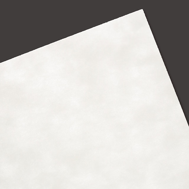 ���h 4�� �|�z���C�g100