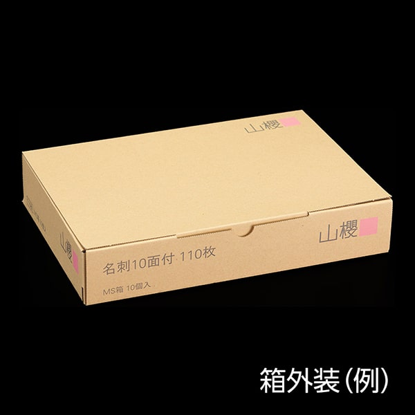 ���h 10�ʕt �}�C�N���~�V�� [110����] JET�N�[��MW �C���N�W�F�b�g