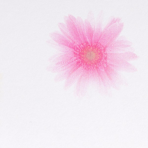 Web����@���h 4�� �K�[�x��CoC ��