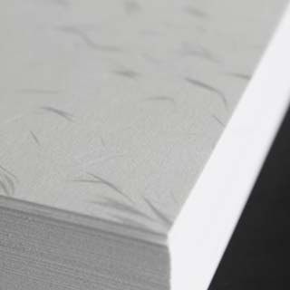 はがき 25 白大礼紙CoC ☆