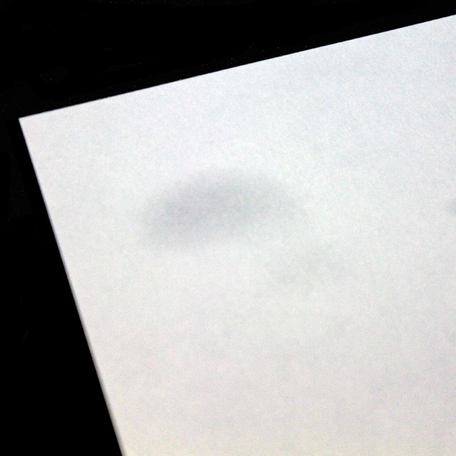 山櫻喪中はがき No.7168 桔梗(薄口) CoC 〒グレイ枠入 ☆: 慶弔用関連