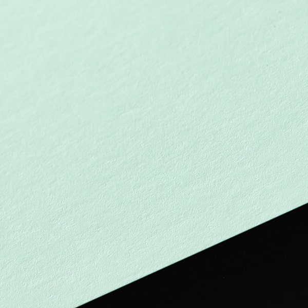 2�� �J�h�� �P�J�[�h EC�O���[��