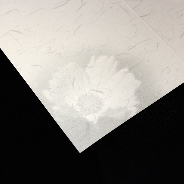 ���� 205×147mm ��܃J�[�h ��6201 �Ԉ��CoC ��