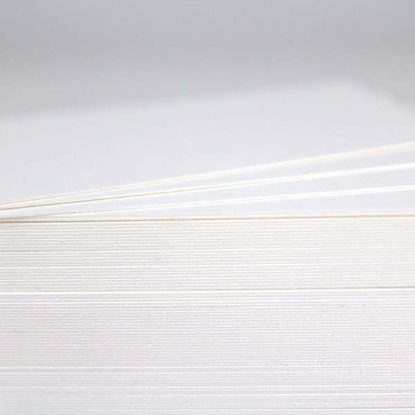 名刺 4号 kappan TA白