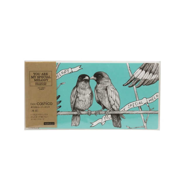 D[di:]cashico�����`���ށE�ĳ  �F ��